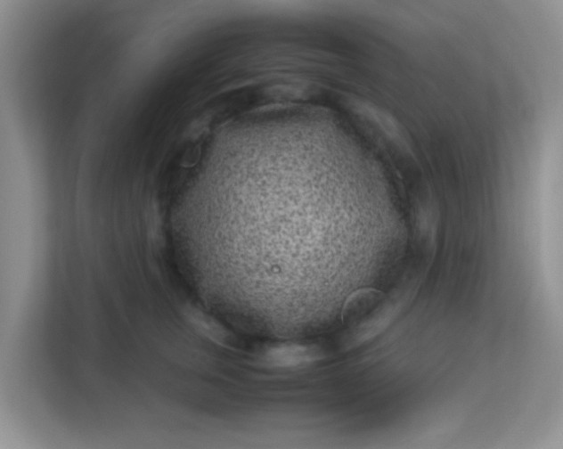 X0000113330759200909281227