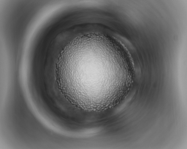X0000113330765200909281227
