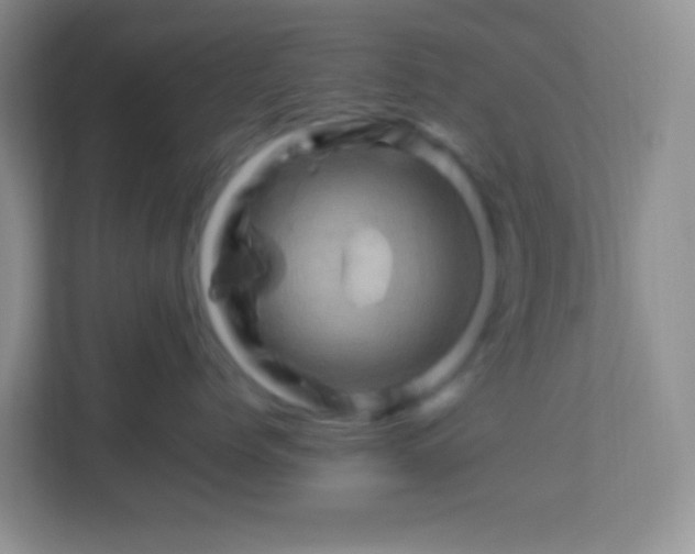 X0000113330768200909281227