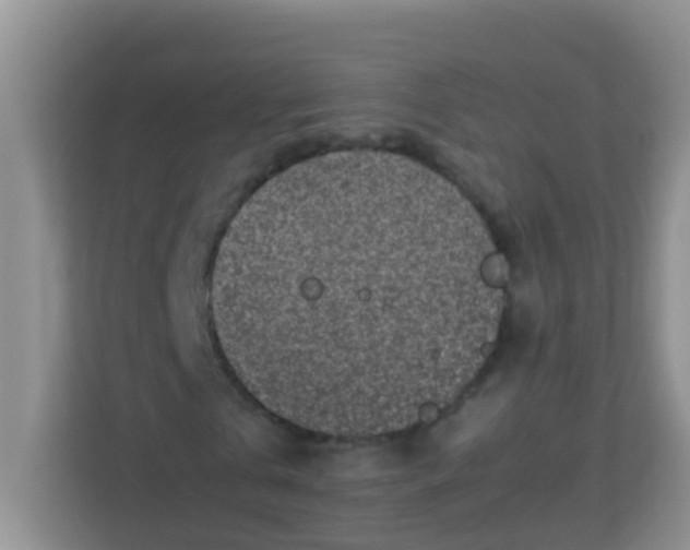 X0000113330769200909281227