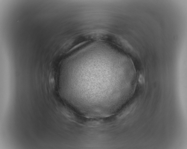 X0000113330771200909281227