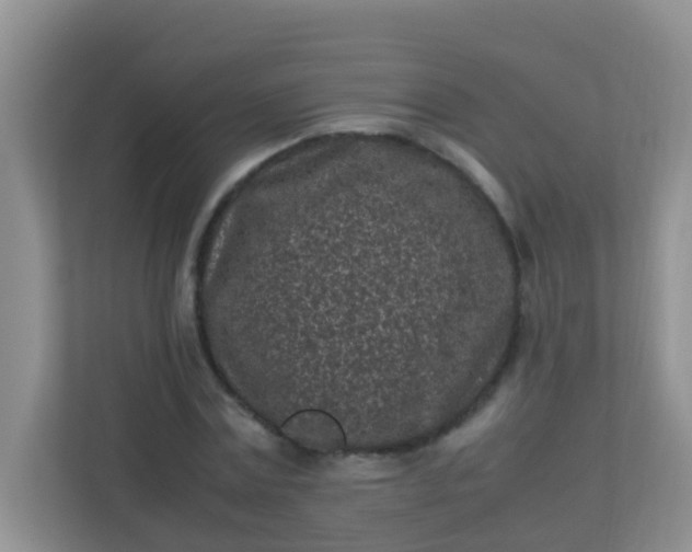 X0000113330779200909281227