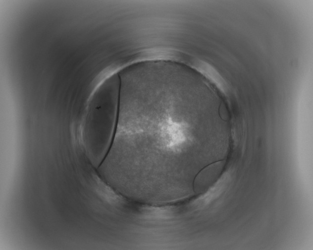 X0000113330781200909281227