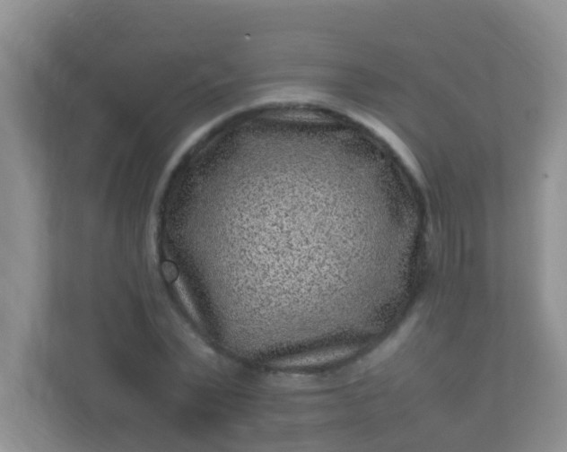 X0000113330783200909281227