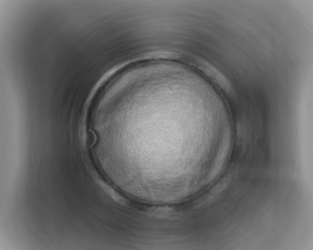 X0000113330784200909281227