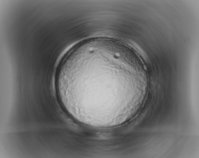 X0000113330788200909281226