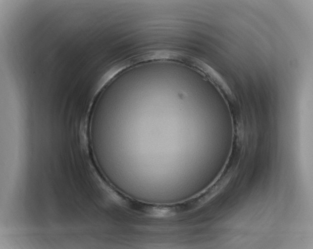 X0000113330794200909281226