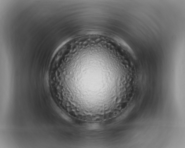 X0000113330798200909281226