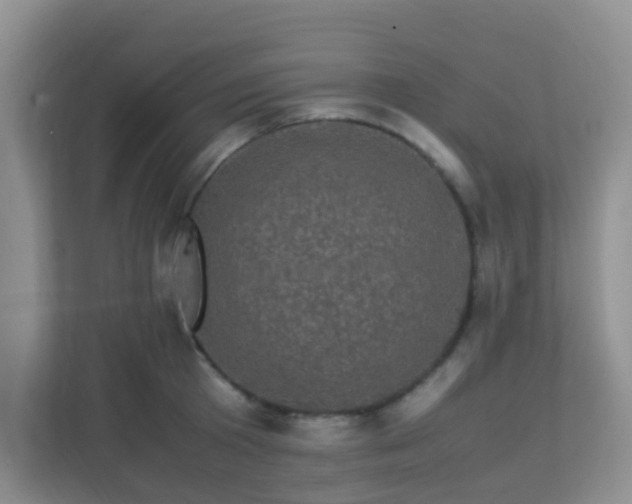 X0000113330801200909281226