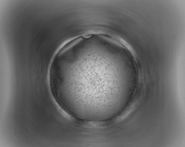 X0000113330803200909281226