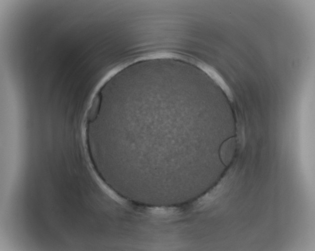 X0000113330805200909281226