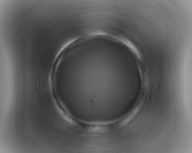 X0000113330806200909281226