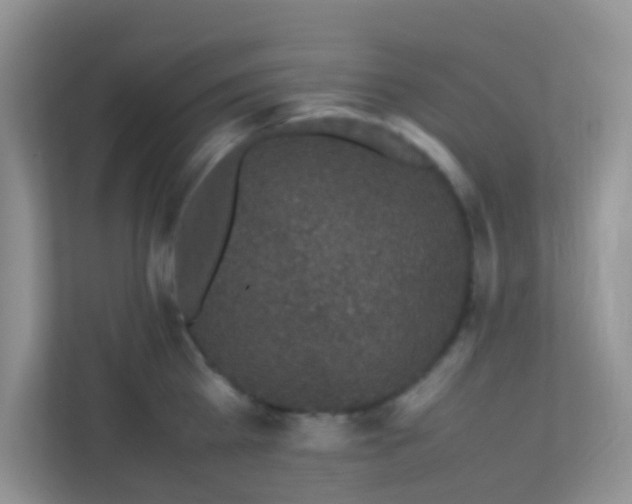 X0000113330809200909281226
