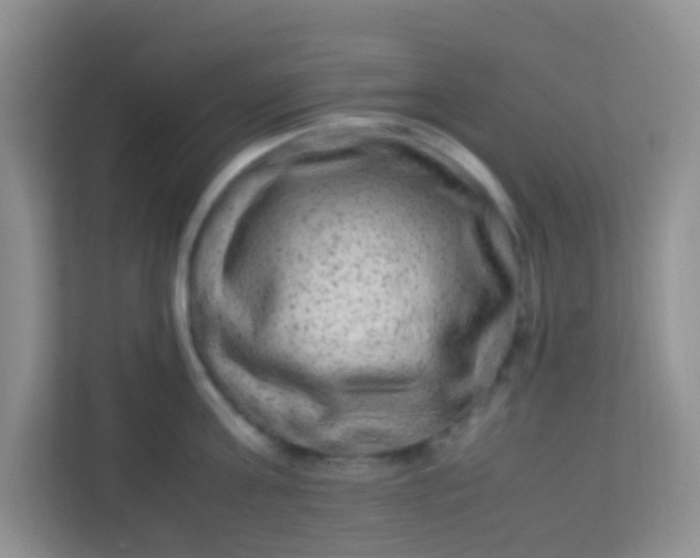 X0000113330811200909281226