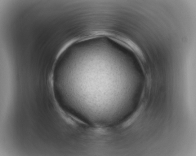 X0000113330814200909281226