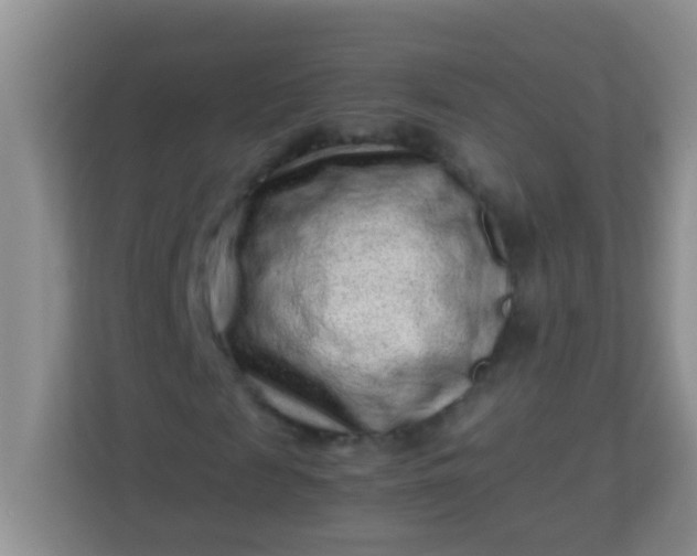 X0000113330817200909281226