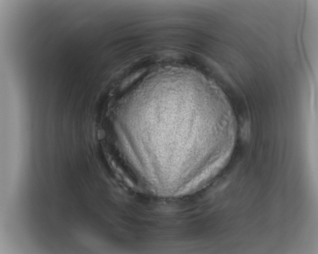 X0000113330819200909281226