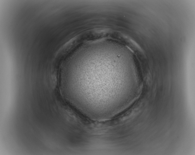 X0000113330821200909281226