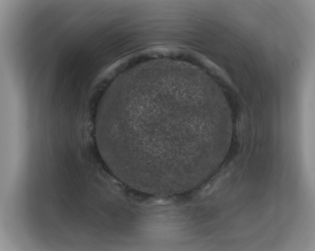 X0000113330822200909281226