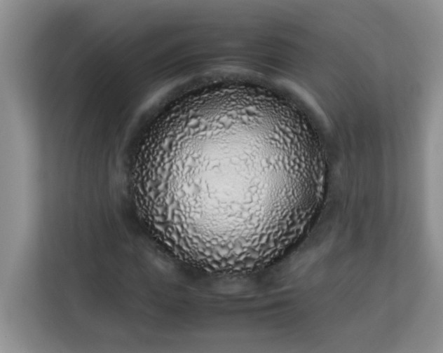 X0000113330823200909281226
