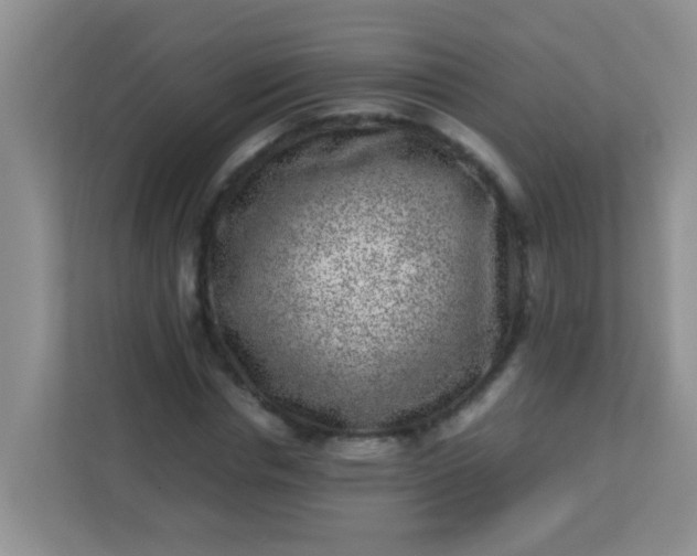 X0000113330826200909281226