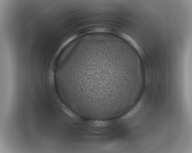 X0000113330827200909281226