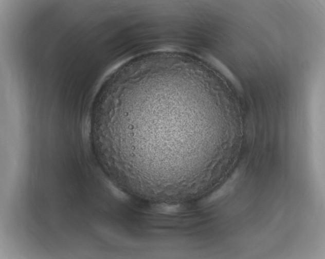 X0000113330831200909281226