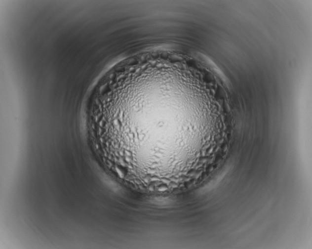 X0000113330835200909281226