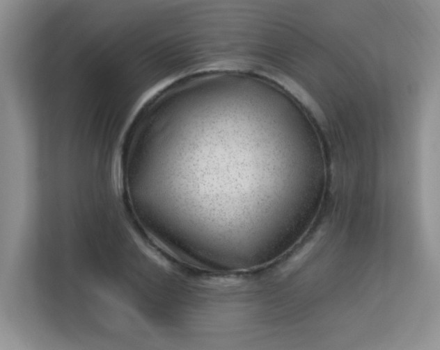 X0000113330838200909281226