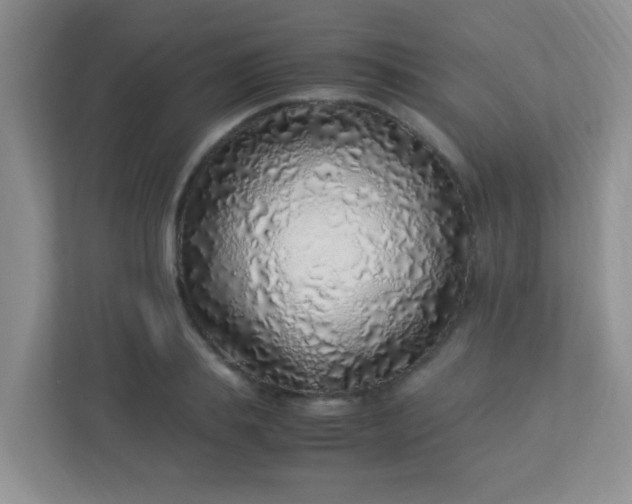 X0000113330839200909281226