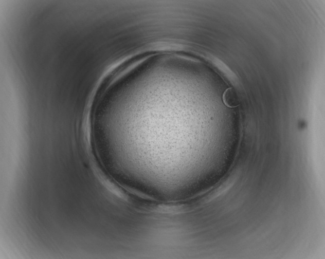 X0000113330840200909281226