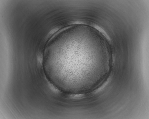X0000113330841200909281226