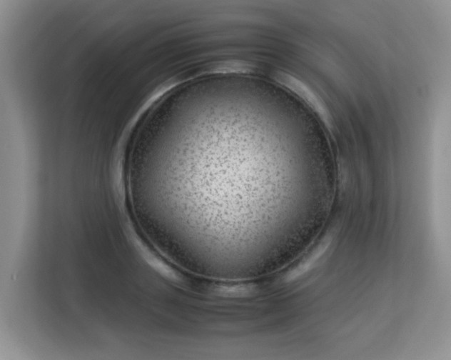 X0000113330843200909281226