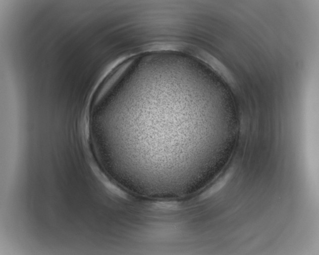 X0000113330844200909281226