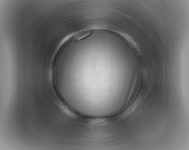 X0000113330846200909281226