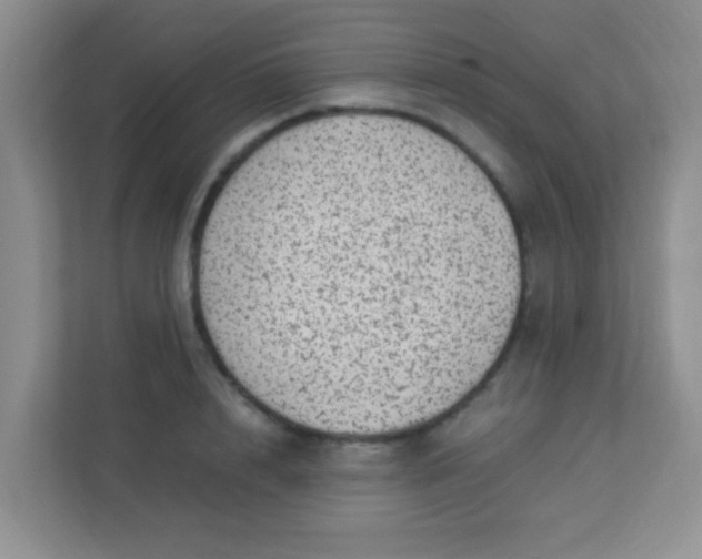 X0000113330848200909281226