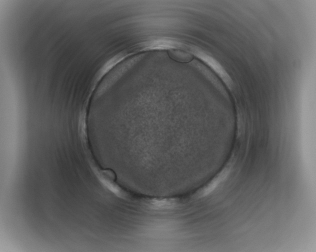 X0000113330850200909281226