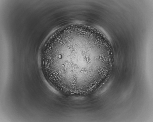 X0000113330851200909281226