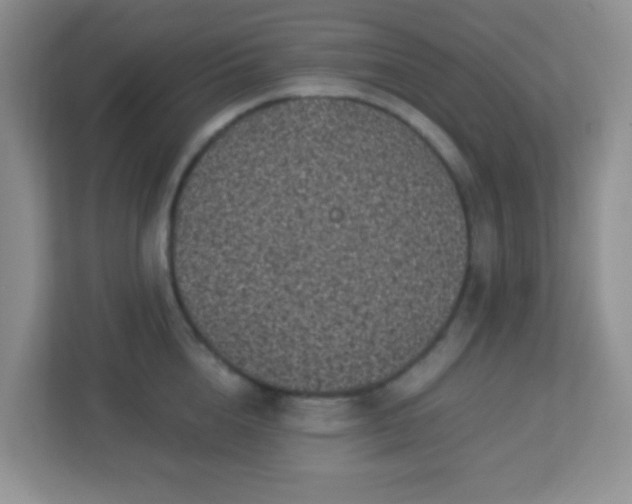 X0000113330856200909281226