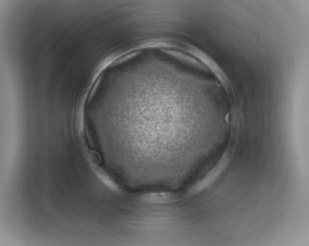 X0000113330858200909281226