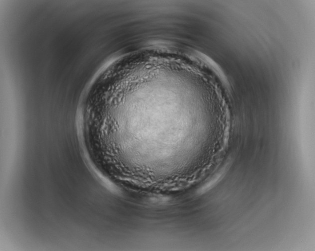 X0000113330859200909281226