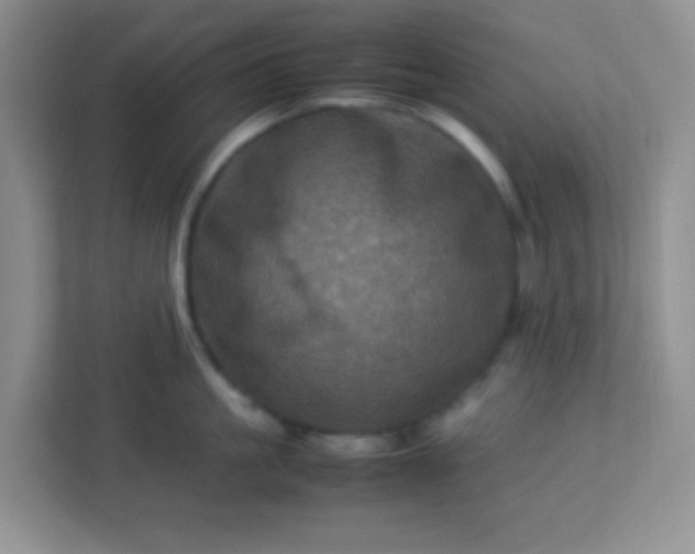 X0000113330861200909281226