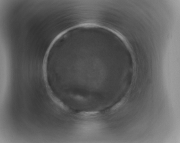 X0000113330864200909281226