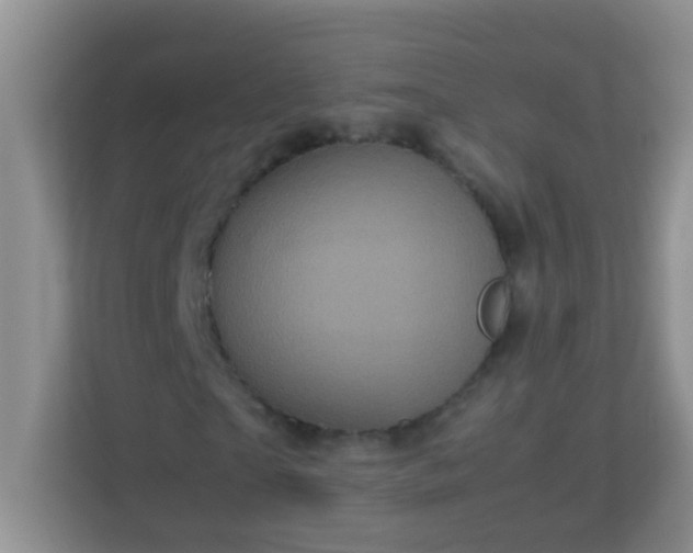 X0000113330865200909281225