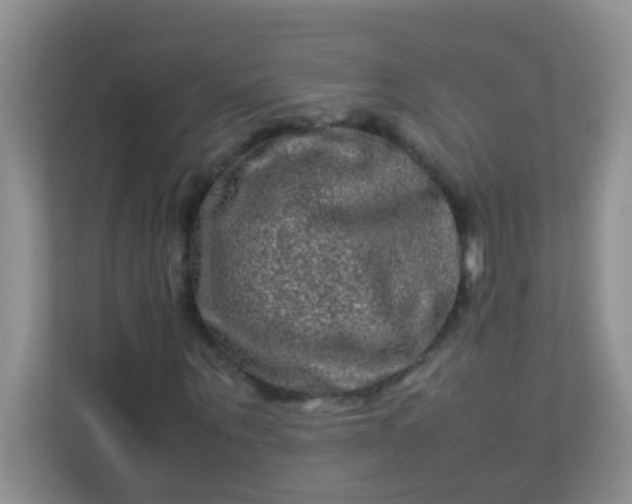X0000113330867200909281225
