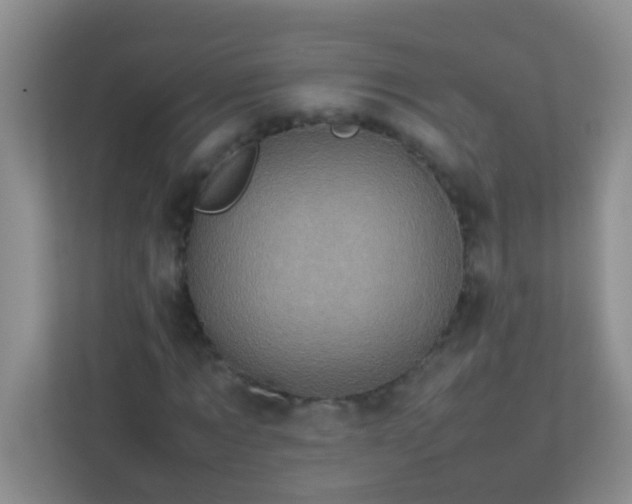 X0000113330869200909281225