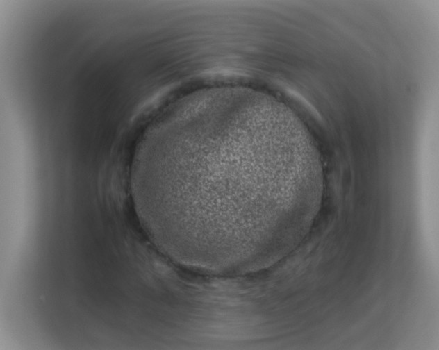 X0000113330870200909281225