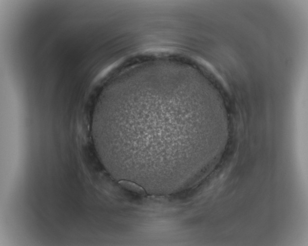 X0000113330871200909281225