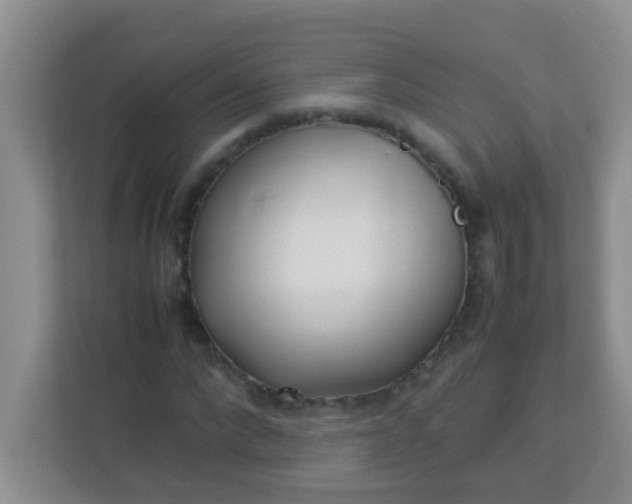 X0000113330872200909281225