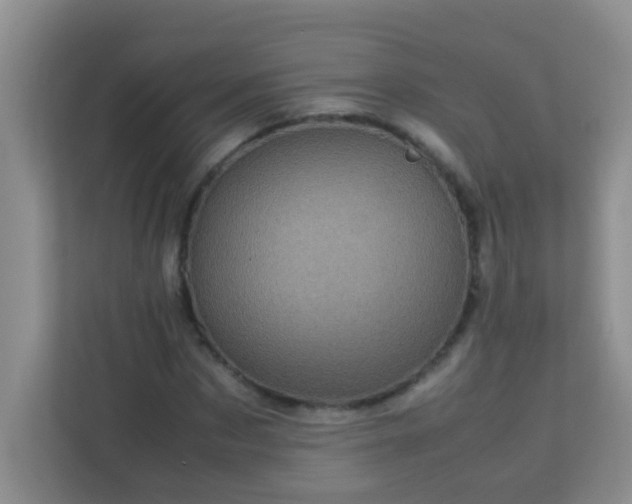 X0000113330873200909281225